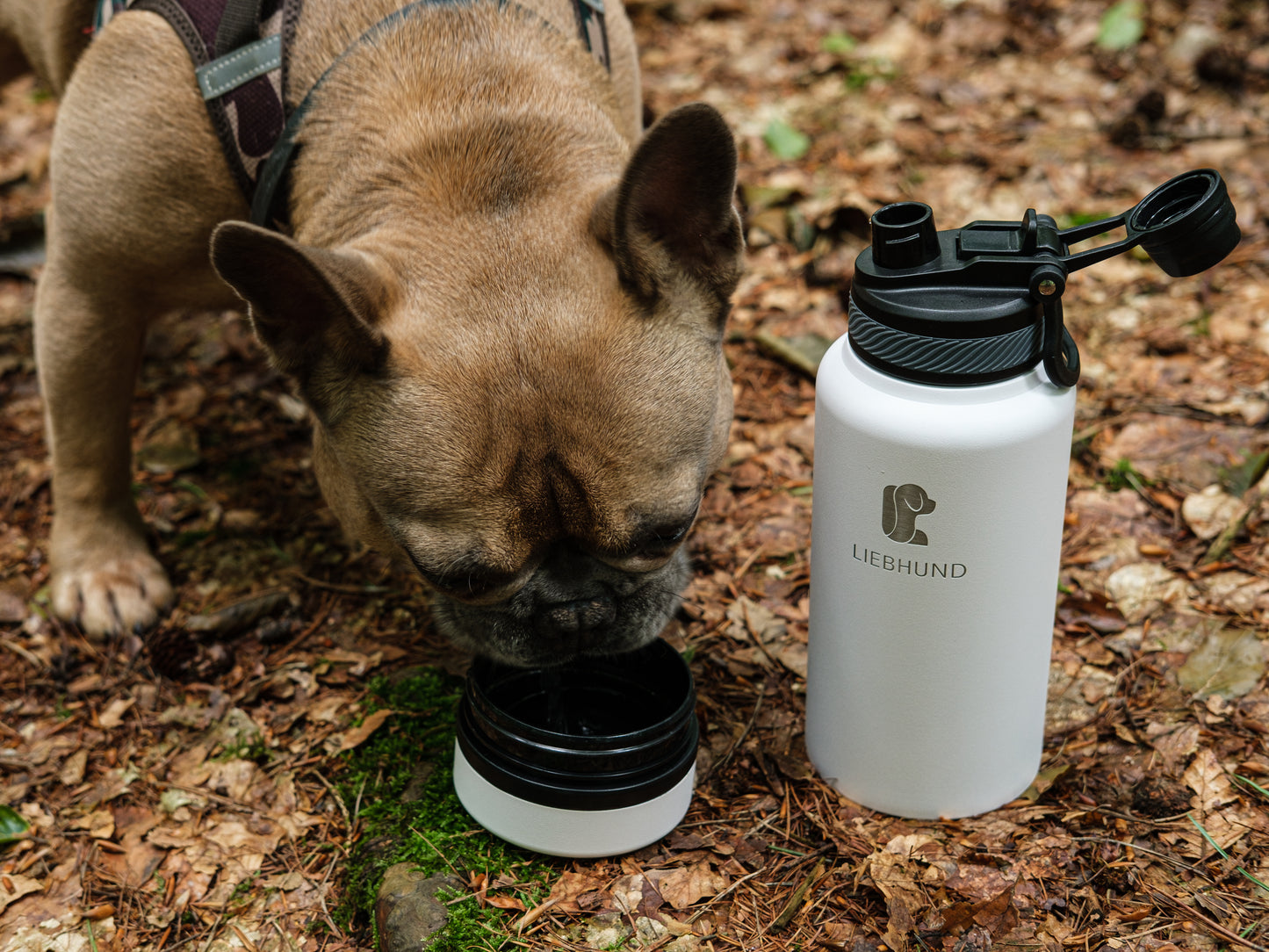 LIEBHUND Thermosflasche mit integriertem Napf