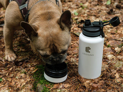 LIEBHUND Thermosflasche mit integriertem Napf